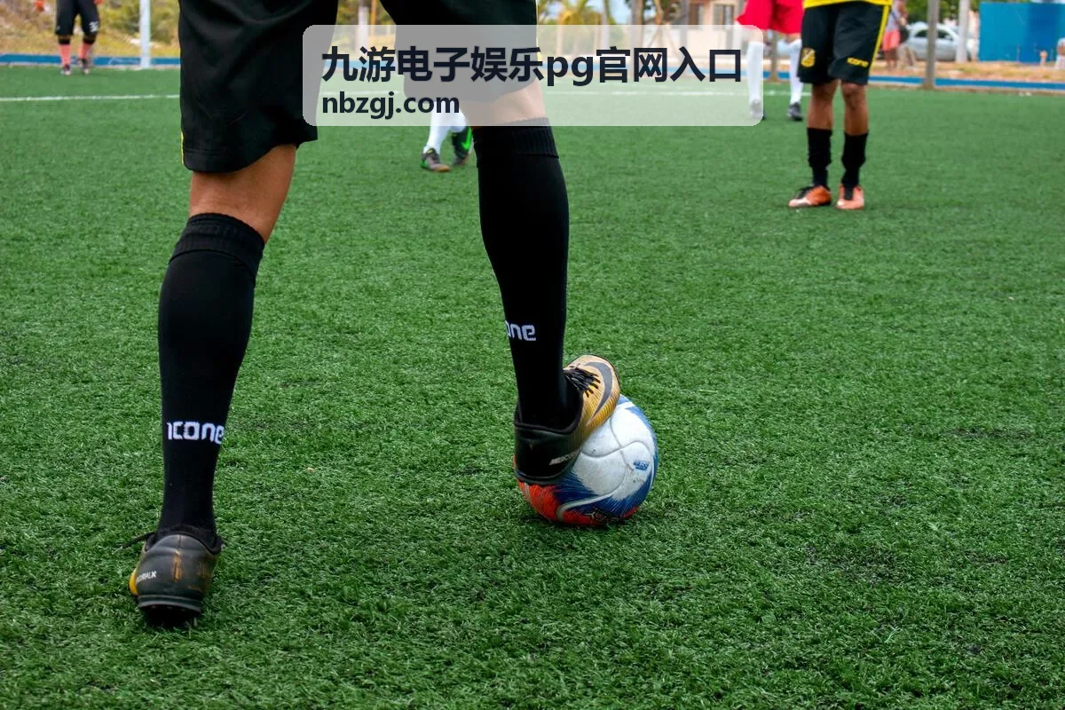 九游电子娱乐PG官网入口 常见问题整理内容封面
